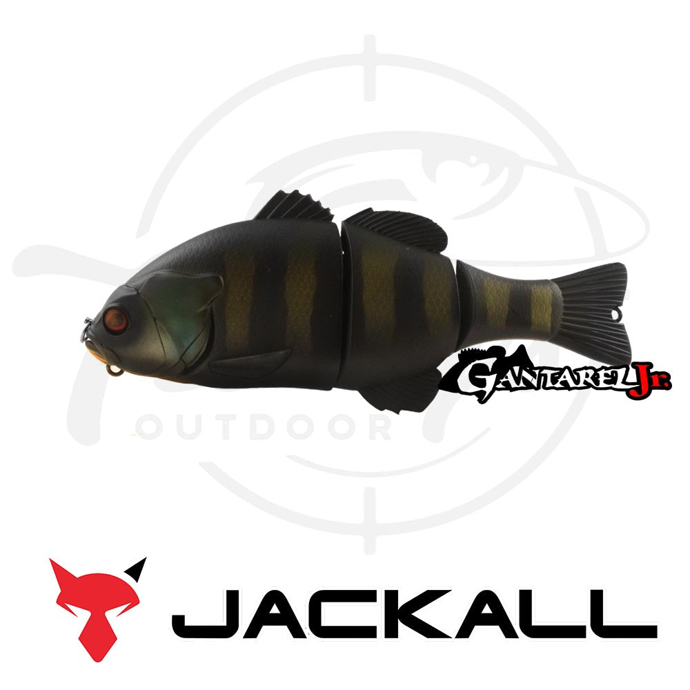 Leurre Jackall Chibitarel Flat Side – Albino Gill (7483) – Flottant 130mm – Neuf