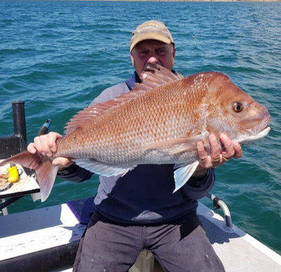 Trellys Fishing Report