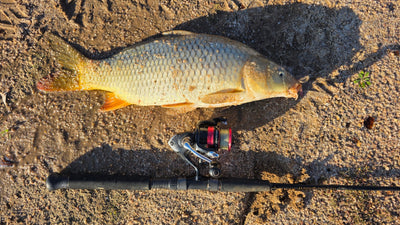 Trellys Fishing Report