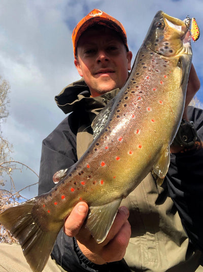 Trellys Fishing Report