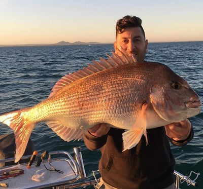 Trellys Fishing Report