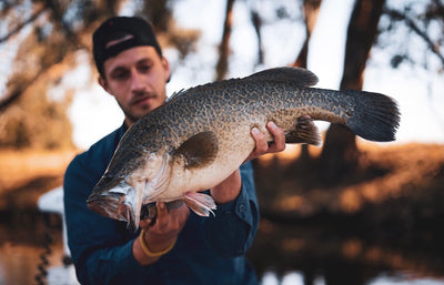Trelly's Fishing Report