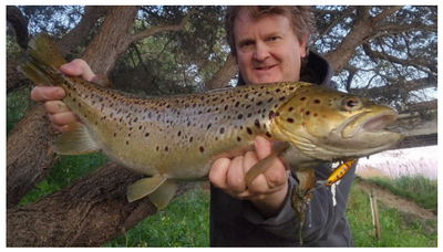 Trellys Fishing Report