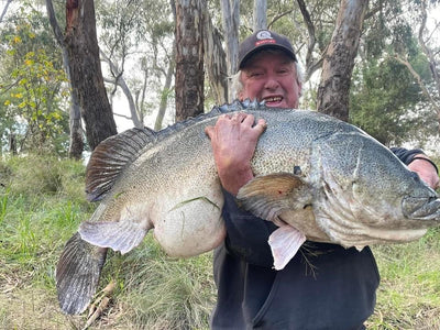 Trellys Fishing Report