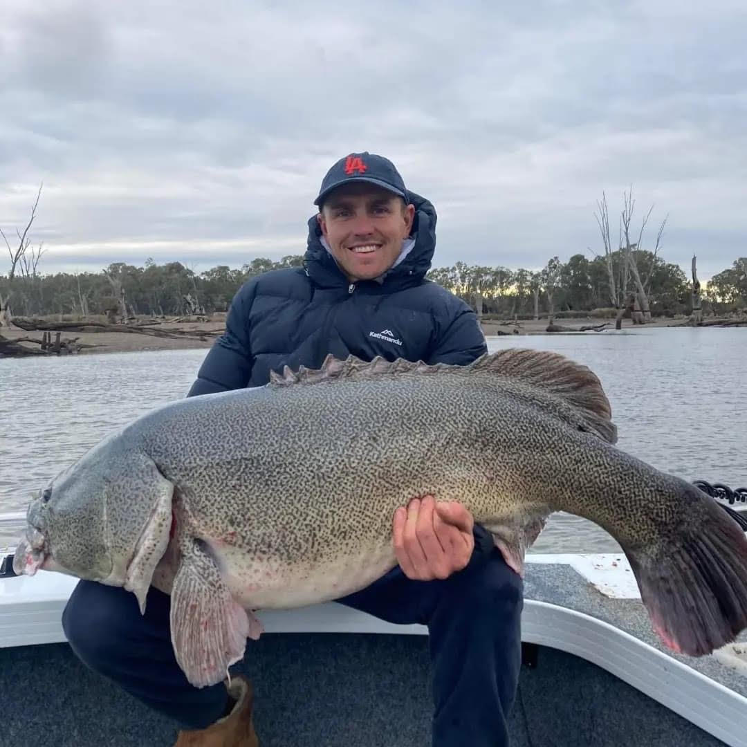 Lake murray shop fishing report