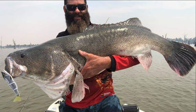 Trellys Fishing Report