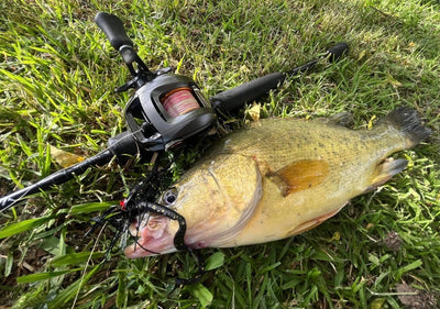 Trellys Fishing Report