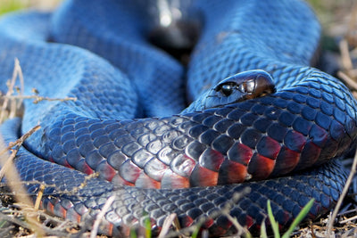 Trellys Fishing Report