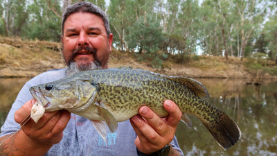Robbies Ripper April Report