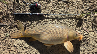 Trellys Fishing Report