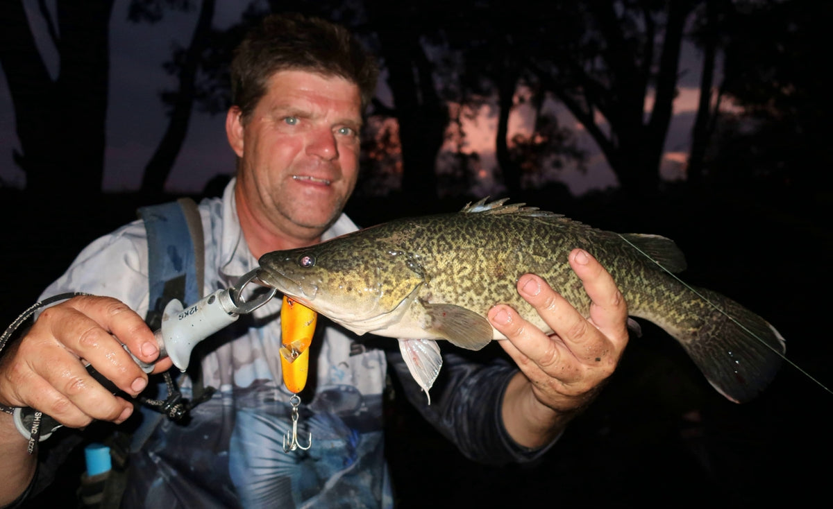 Murray cod fishing season is just around the corner! – Trellys