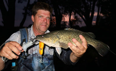 Murray cod fishing season is just around the corner!