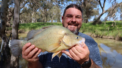 Robbie's Ripper Report