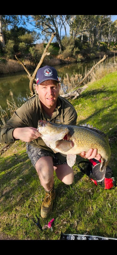 Trellys Fishing Report