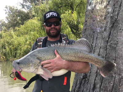 Trellys Fishing Report