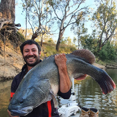 Trellys Fishign Report -  1 Meter Cod Shepparton!