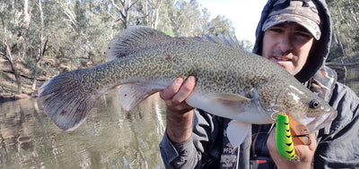 Trellys Fishing Report