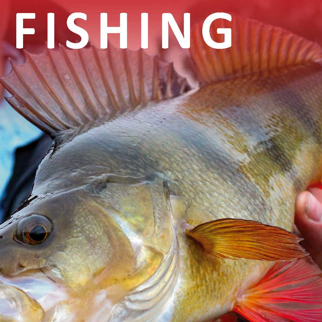 Trilly Fish Fishing – Trellys