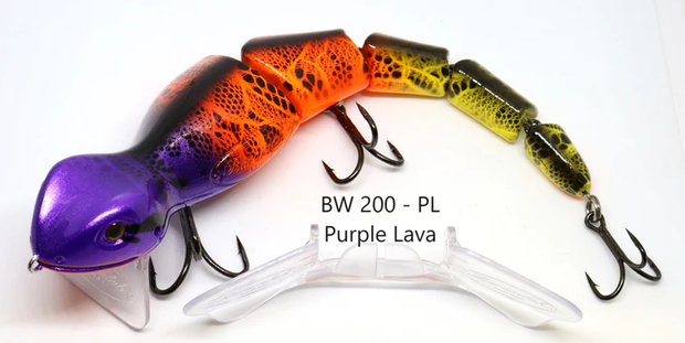 Barambah Bidjiwong 200