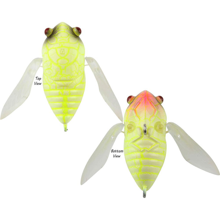 Atomic Hardz Cicada 47