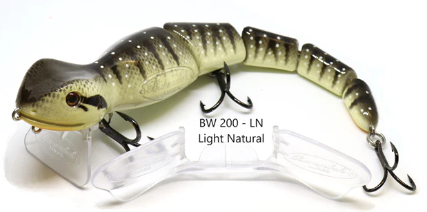 Barambah Bidjiwong 200