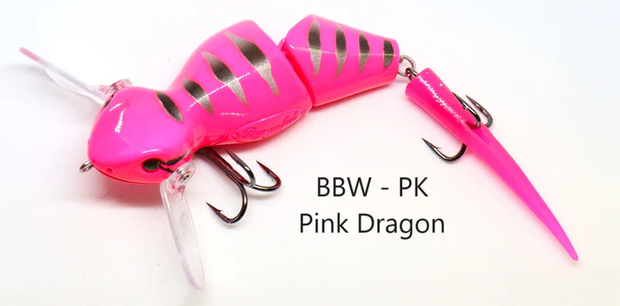 Barambah Baby Bidjiwong