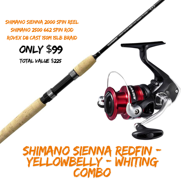 Shimano Sienna Redfin - Yellowbelly - Whiting Combo