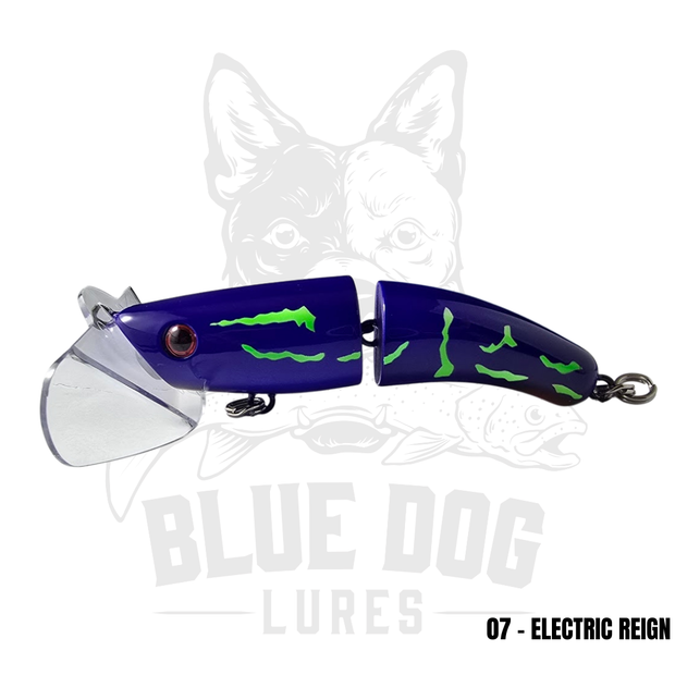 Blue Dog Paddler