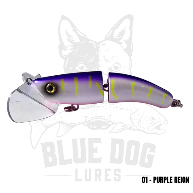 Blue Dog Paddler