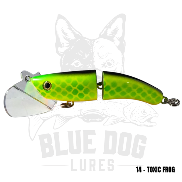 Blue Dog Paddler