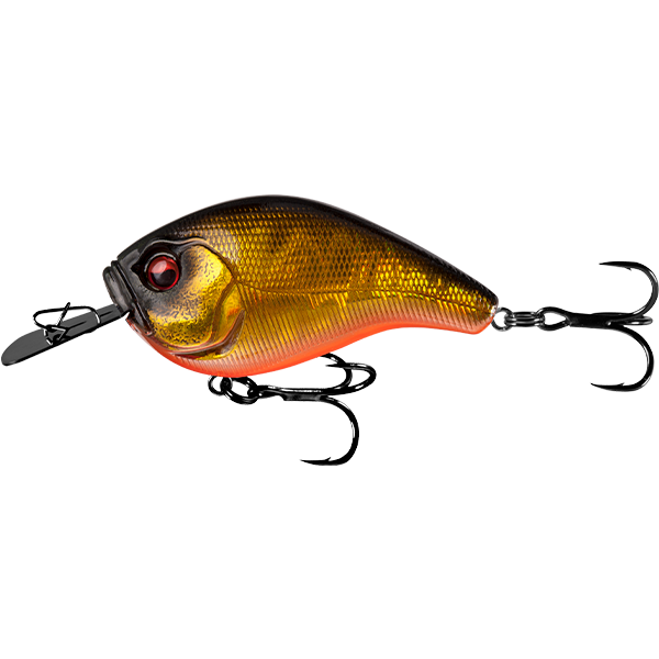 13 Fishing Jabber Jaw