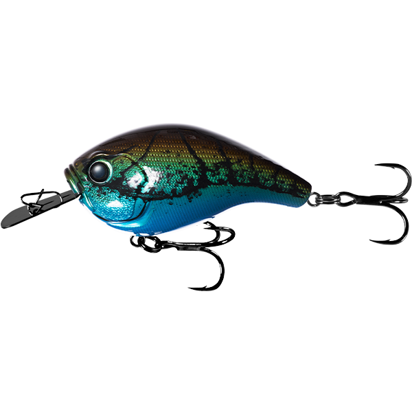 13 Fishing Jabber Jaw