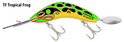 Predatek Downunder Boomerang