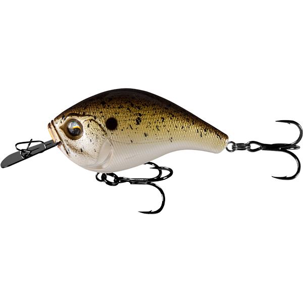 13 Fishing Jabber Jaw