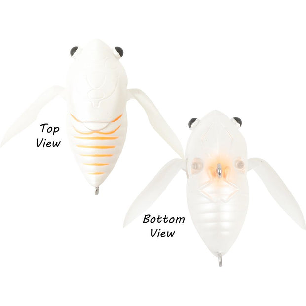 Atomic Hardz Cicada 47