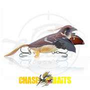 Chasebaits The Smuggler Topwater Fishing Lure