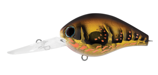 Daiwa Steez RPM Mid-10