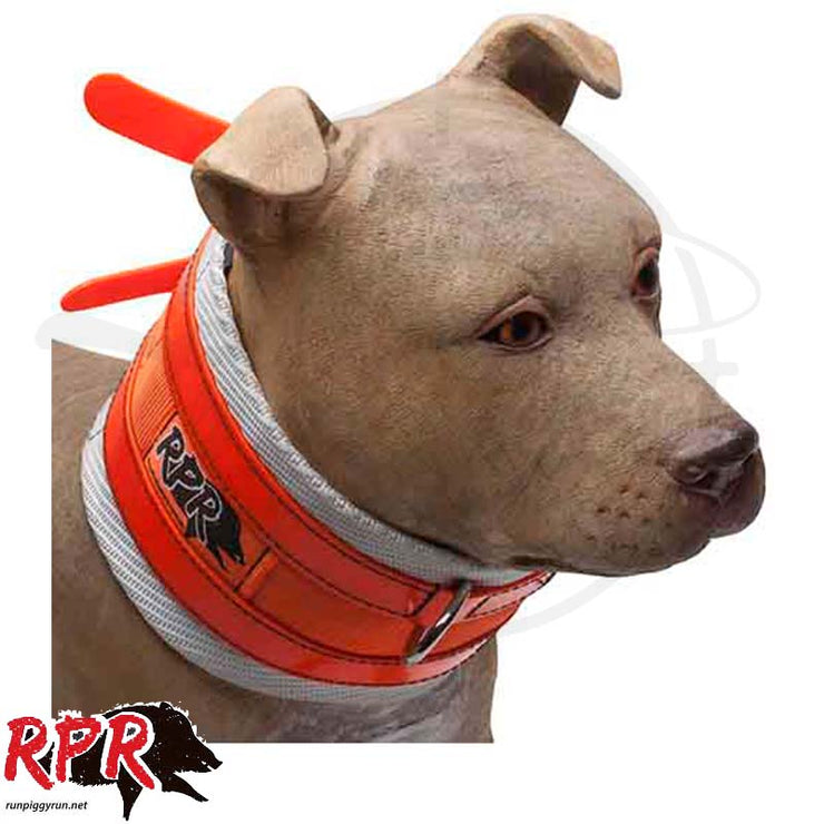 RPR Nimmie Cut Collar