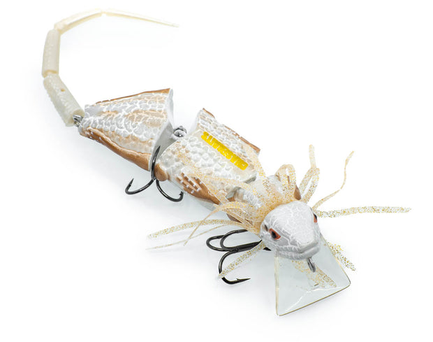 Chasebaits Frillseeker Topwater Lure